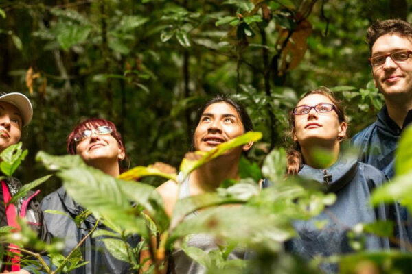 Praktikanten im Amazonas Regenwald in Ecuador