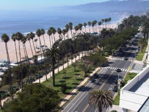 Palmen und Strand in LA