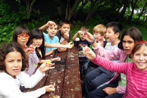 Kinder beim Picknick Familiensprachreise Irland