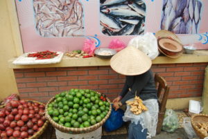 <i class="fas fa-star"></i><i class="fas fa-star"></i><i class="fas fa-star"></i><i class="fas fa-star"></i><i class="fas fa-star"></i>