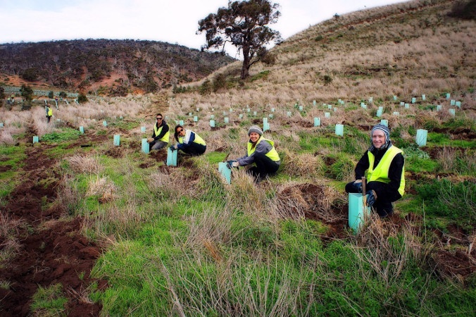 Sprachreise 30 Australien Environmental Conservation