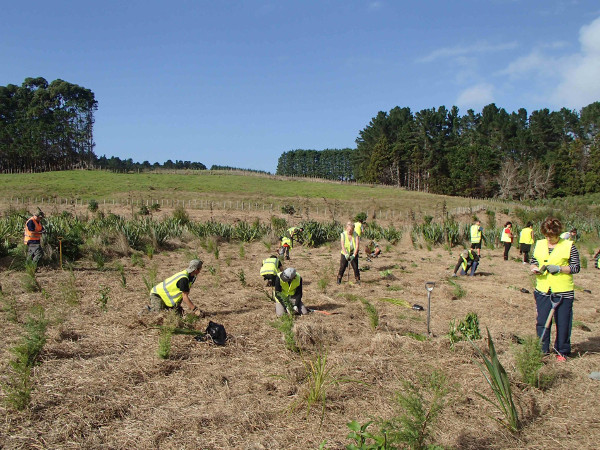 Sprachreise 30+ Environmental Conservation